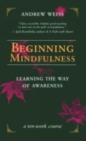 Beginning Mindfulness: Learning the Way of Awareness артикул 4525a.